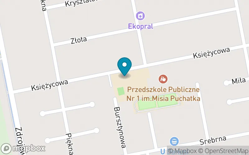 Lokalizacja: Szkoła Podstawowa nr 6 im. Ks. Jana Twardowskiego w Pszczynie
