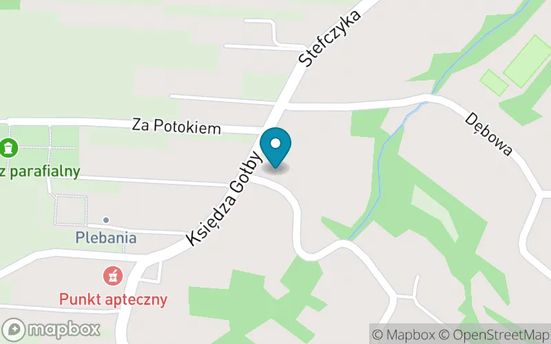 Lokalizacja: Zespół Szkolno-Przedszkolny w Bachowicach-Szkoła Podstawowa im. Ks. Franciszka Gołby