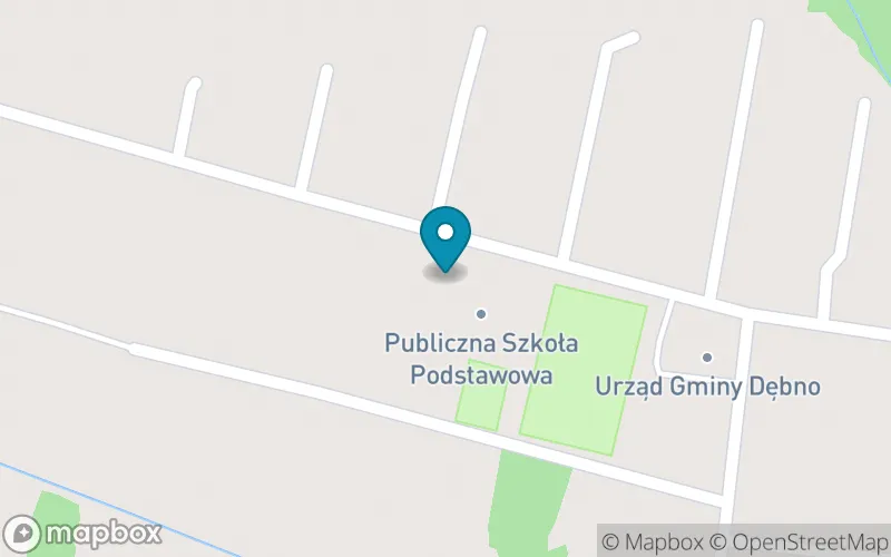 Lokalizacja: Publiczna Szkoła Podstawowa im. Kardynała Stefana Wyszyńskiego w Woli Dębińskiej