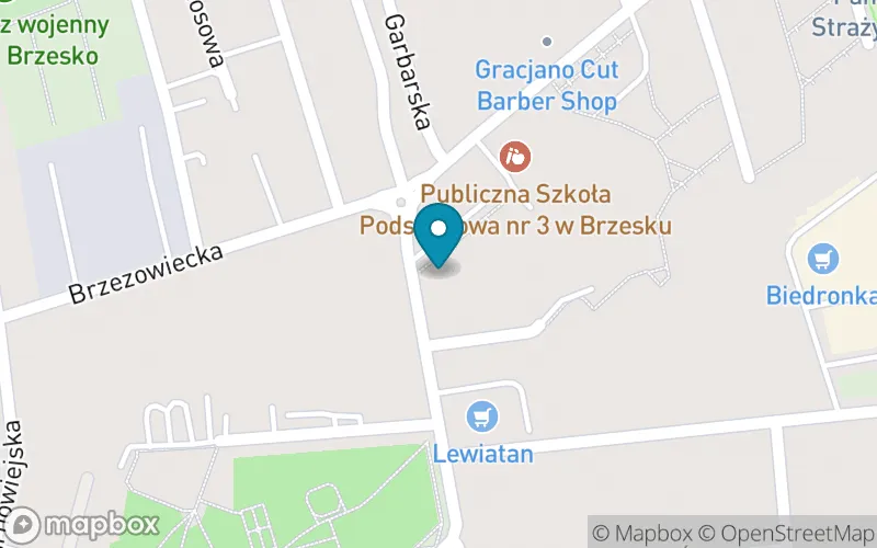 Lokalizacja: Publiczna Szkoła Podstawowa nr 3 im. Mikołaja Kopernika w Brzesku