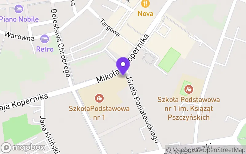 Lokalizacja: Technikum nr 1 w Pszczynie
