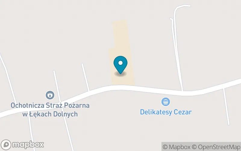 Lokalizacja: Publiczna Szkoła Podstawowa im. Janusza Korczaka w Łękach Dolnych
