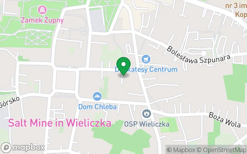 Lokalizacja: Niepubliczne Przedszkole Terapeutyczne "Rozwijanka"