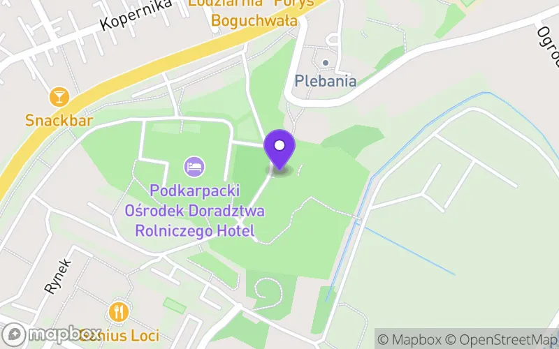 Lokalizacja: Liceum Ogólnokształcące z Oddziałami Dwujęzycznymi w Boguchwale
