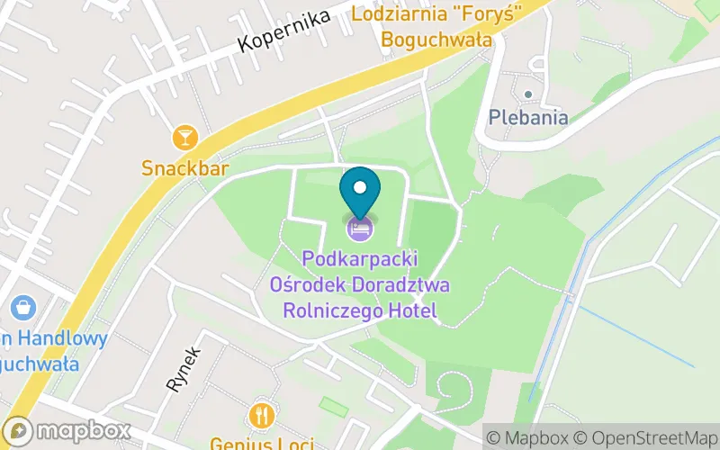 Lokalizacja: Szkoła Podstawowa Montessori z Oddziałami Dwujęzycznymi w Boguchwale