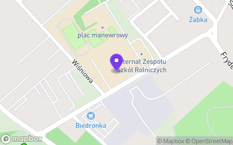 Lokalizacja: IV Liceum Ogólnokształcące w Pszczynie