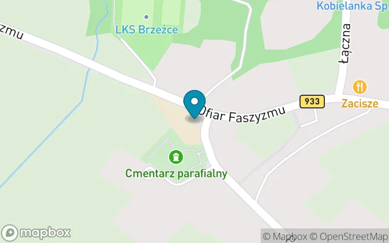 Lokalizacja: Szkoła Podstawowa w Brzeźcach