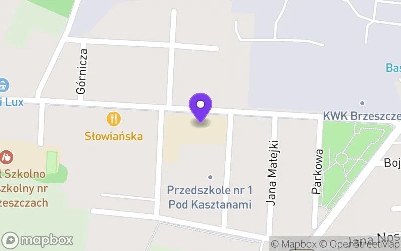 Lokalizacja: Technikum w Brzeszczach