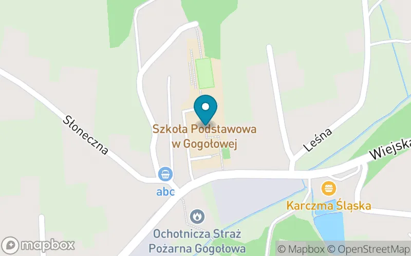 Lokalizacja: Szkoła Podstawowa w Gogołowej
