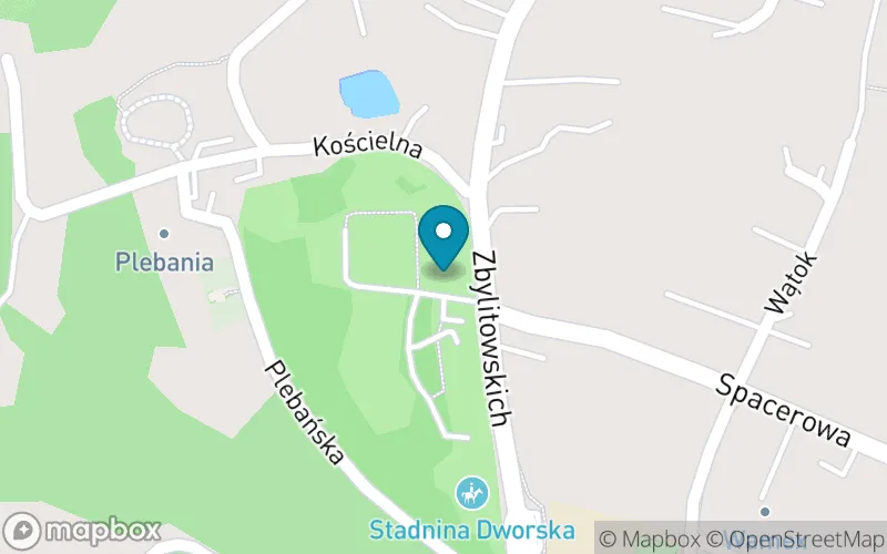 Lokalizacja: Szkoła Podstawowa Specjalna