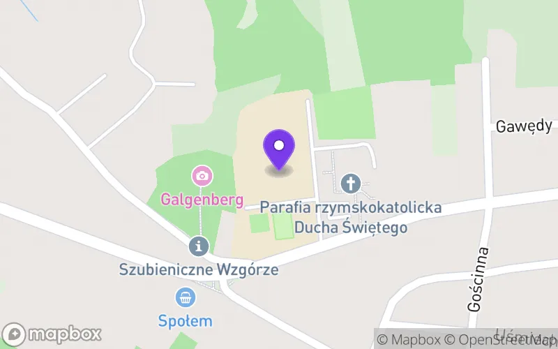 Lokalizacja: Branżowa Szkoła I Stopnia Specjalna w Wodzisławiu Śląskim