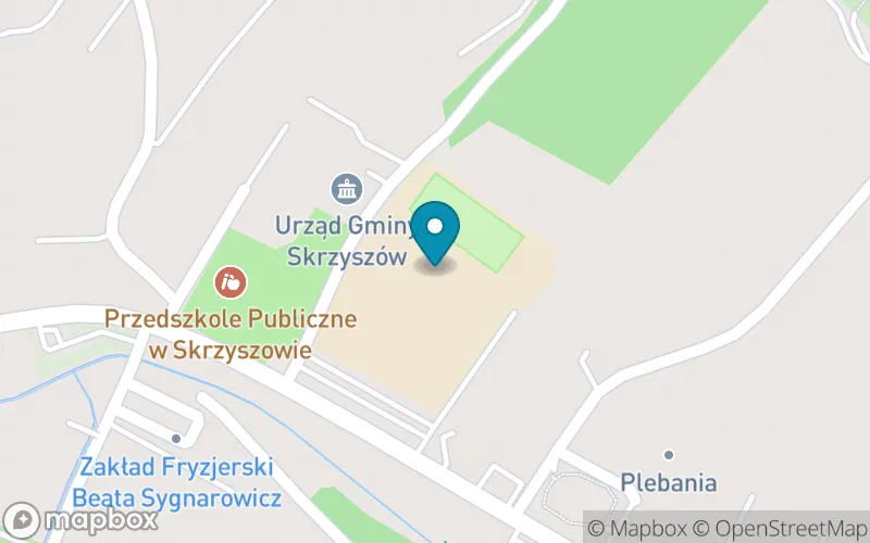 Lokalizacja: Szkoła Podstawowa nr 1 im. Jana Pawła II w Skrzyszowie