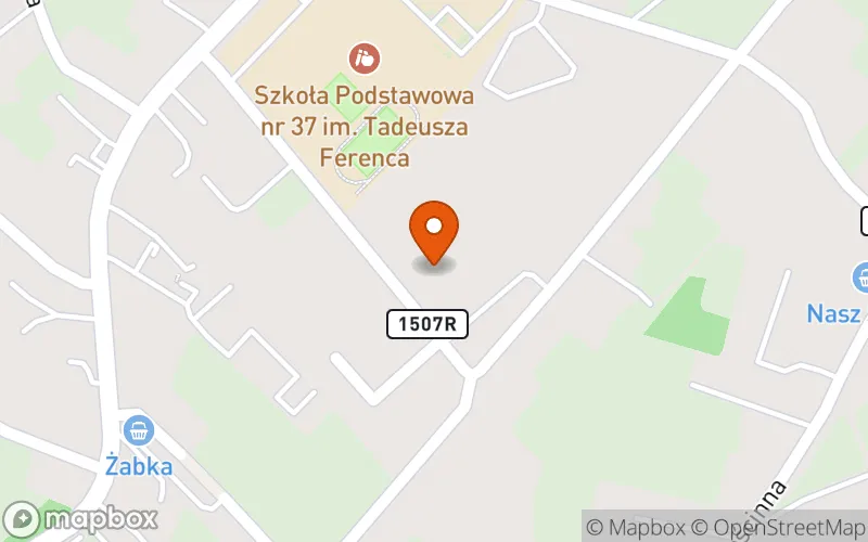 Lokalizacja: Żłobek nr 2 ZIELONE SKRZATY