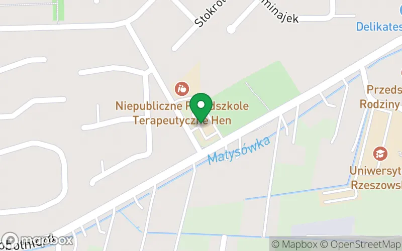 Lokalizacja: Niepubliczne Przedszkole Specjalne Solis Radius w Rzeszowie