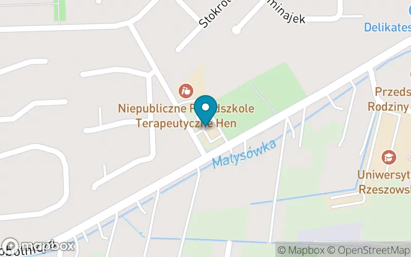 Lokalizacja: Niepubliczna Specjalna Szkoła Podstawowa Solis Radius w Rzeszowie