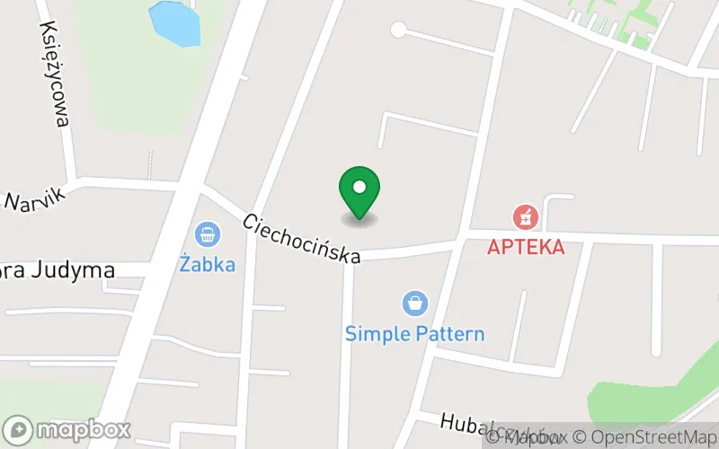 Lokalizacja: Przedszkole Prywatne nr 9 Ognisko Językowo-Artystyczne