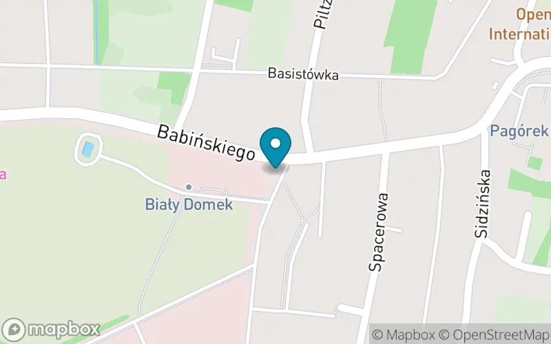 Lokalizacja: Szkoła Podstawowa Specjalna nr 122 im. Janusza Korczaka w Krakowie