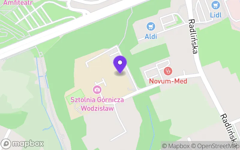 Lokalizacja: Technikum nr 1 im. Piastów Śląskich w Wodzisławiu Śląskim