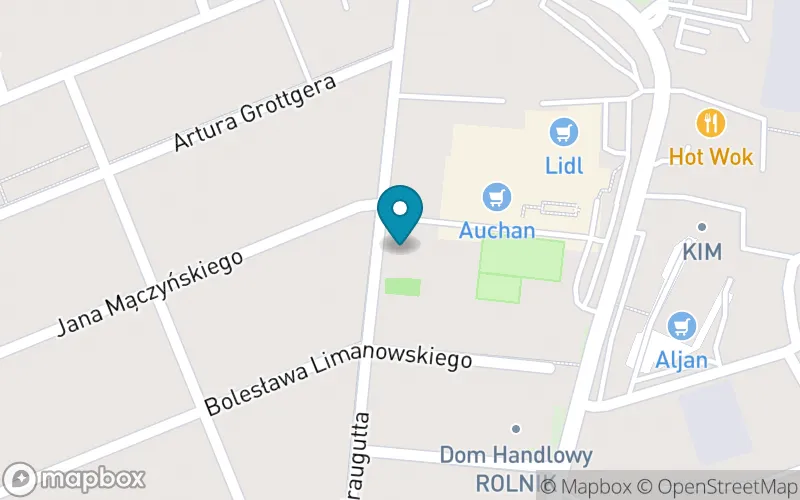 Lokalizacja: Szkoła Podstawowa nr 5 im. Baśki Puzon