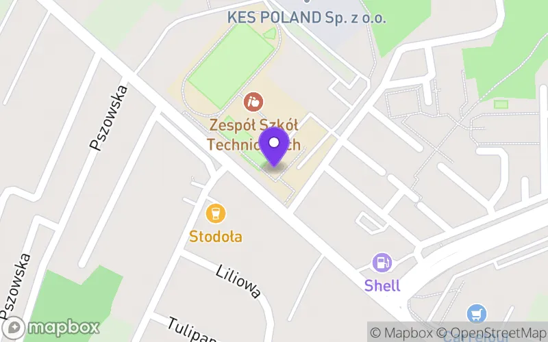 Lokalizacja: Branżowa Szkoła I Stopnia nr 2 im. Rtm. Witolda Pileckiego w Wodzisławiu Śląskim