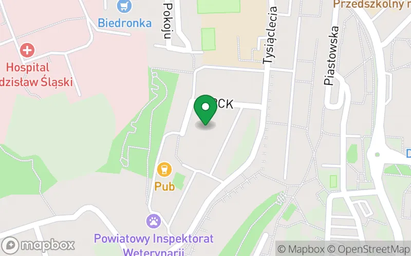 Lokalizacja: Publiczne Przedszkole nr 5