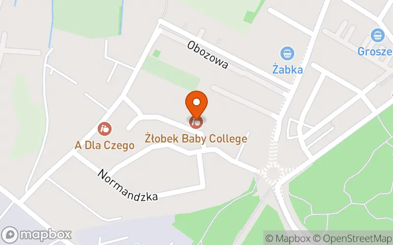 Lokalizacja: Niepubliczny Żłobek Baby College