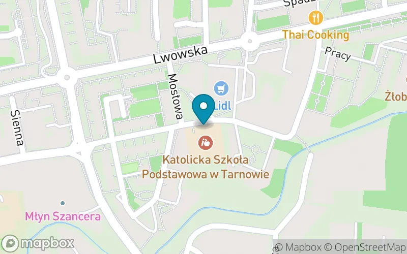 Lokalizacja: Katolicka Szkoła Podstawowa w Tarnowie