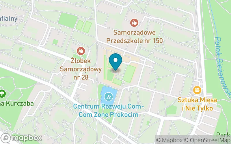 Lokalizacja: Szkoła Podstawowa nr 117 im. Krakowskiej Kongregacji Kupieckiej w Krakowie