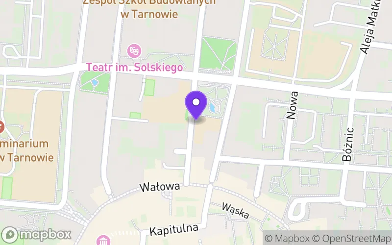 Lokalizacja: Technikum nr 5 w Zespole Szkół Ogólnokształcących i Technicznych IM Jana Szczepanika w Tarnowie