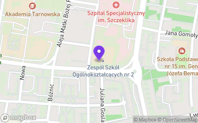 Lokalizacja: II Liceum Ogólnokształcące im. Hetmana Jana Tarnowskiego w Tarnowie