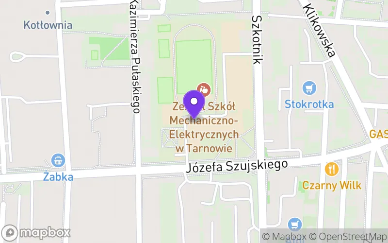 Lokalizacja: XXI Liceum Ogólnokształcące Sportowe w Tarnowie,