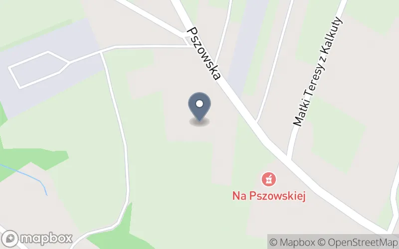 Lokalizacja: Niepubliczna Placówka Kształcenia Ustawicznego Tygrys-Silesia