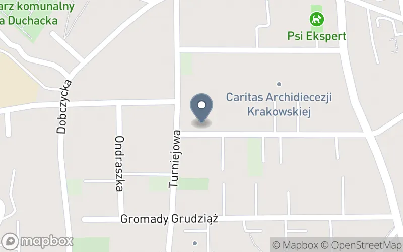 Lokalizacja: Niepubliczna Placówka Kształcenia Ustawicznego Europejski Instytut Edukacji Engram
