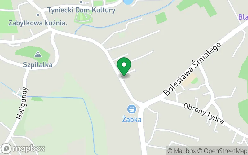 Lokalizacja: Samorządowe Przedszkole nr 133 im. Ojca Leona Knabita w Krakowie
