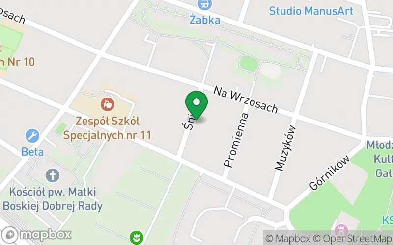 Lokalizacja: Niepubliczne Przedszkole "Akademia Uśmiechu"