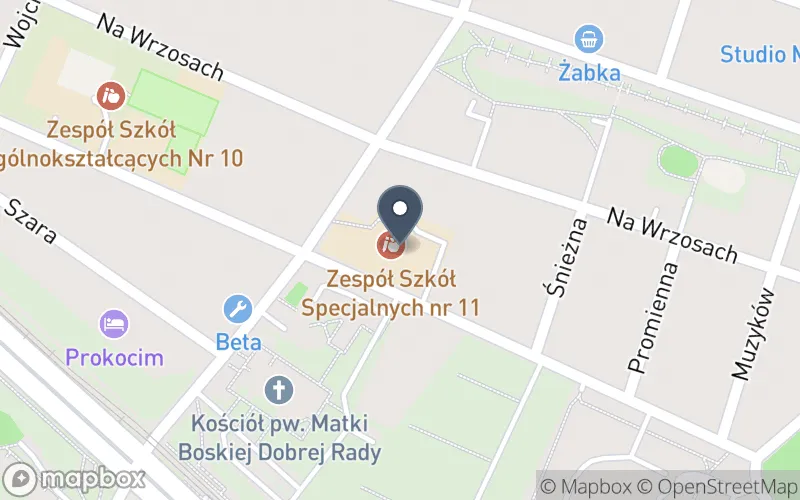 Lokalizacja: Zespół Szkół Specjalnych nr 11 w Krakowie