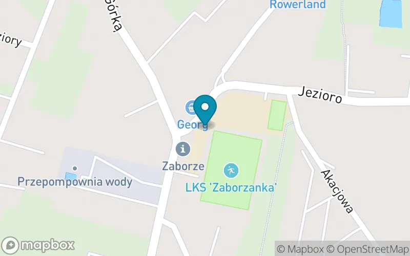 Lokalizacja: Szkoła Podstawowa im. Komisji Edukacji Narodowej w Zaborzu