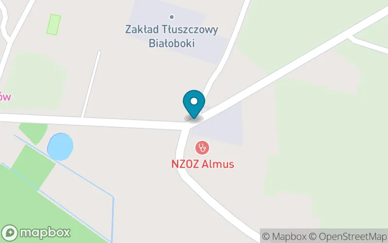 Lokalizacja: Szkoła Podstawowa w Białobokach