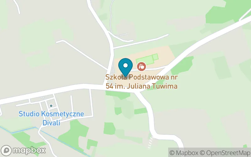Lokalizacja: Szkoła Podstawowa nr 54 im. Juliana Tuwima w Krakowie