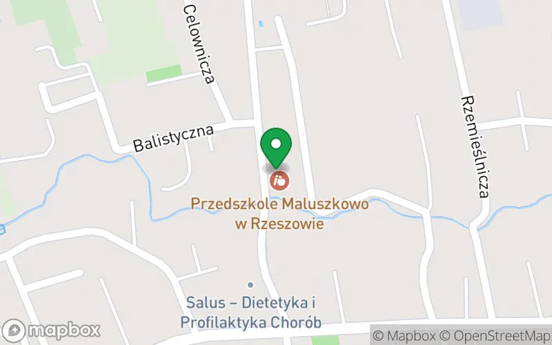 Lokalizacja: Przedszkole Maluszkowo w Rzeszowie