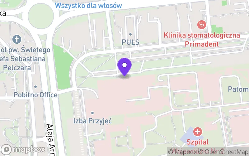 Lokalizacja: Liceum Ogólnokształcące Specjalne przy Szpitalu Wojewódzkim nr 2 im. Św. Jadwigi Królowej w Rzeszowie