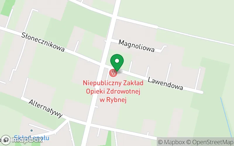 Lokalizacja: Przedszkole Niepubliczne Kraina Uśmiechu w Rybnej