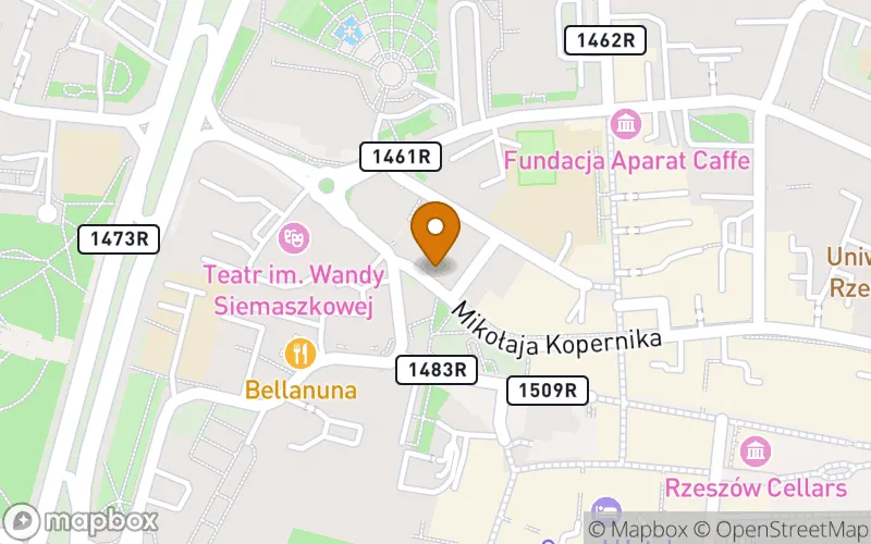 Lokalizacja: Niepubliczna Policealna Szkoła Muzyczna Studium Wokalno-Aktorskie "Artysta" w Rzeszowie