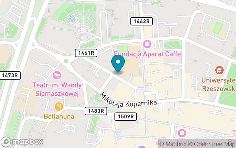 Lokalizacja: Szkoła Podstawowa nr 1 im. Adama Mickiewicza w Rzeszowie