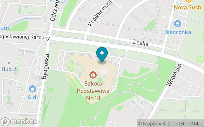 Lokalizacja: Szkoła Podstawowa nr 18 z Oddziałami Dwujęzycznymi w Rzeszowie