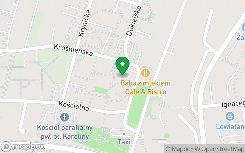 Lokalizacja: Niepubliczny Integracyjno-Terapeutyczny Punkt Przedszkolny "Kreatywne Dzieci" w Rzeszowie