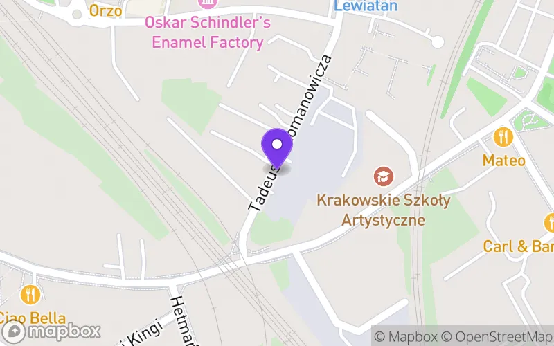 Lokalizacja: Niepubliczna Policealna Szkoła Artystyczna Ama w Krakowie