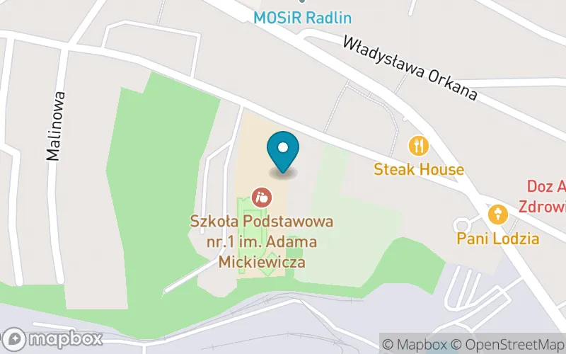 Lokalizacja: Szkoła Podstawowa nr 1 im. Adama Mickiewicza w Radlinie