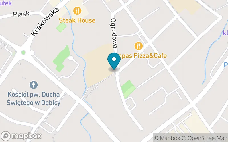 Lokalizacja: Szkoła Podstawowa nr 2 im. Królowej Jadwigi w Dębicy