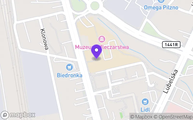 Lokalizacja: Technikum nr 10